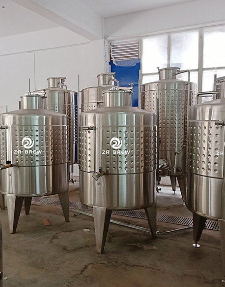 Proyecto de vino de frutas 60T