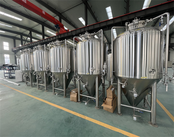 1000L Conical Fermenter