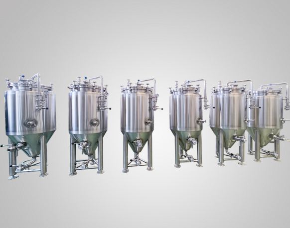 100L Fermentation Tank