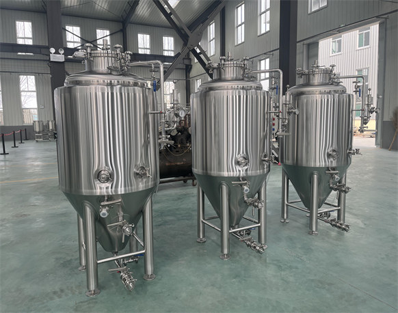 300L Fermentation tanks