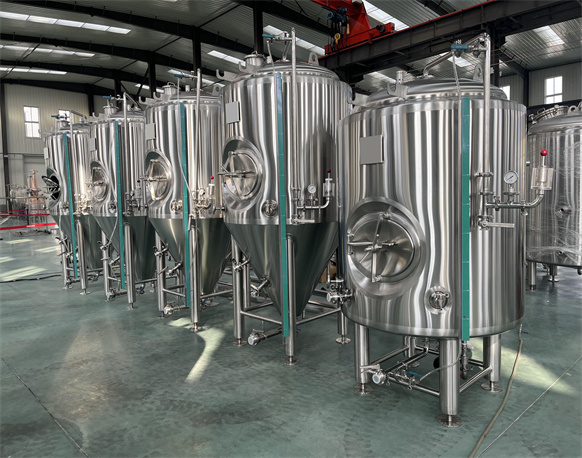 7BBL Bright Beer Tank