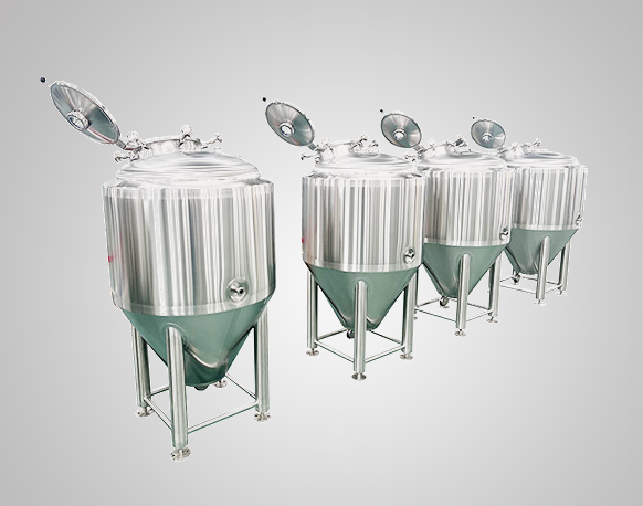 depósito de fermentación de 300 l