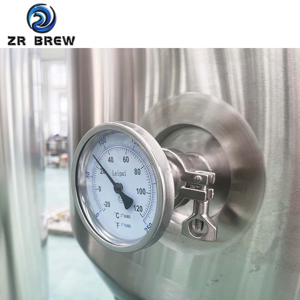 Boca de inspección lateral del fermentador de 10 bbl